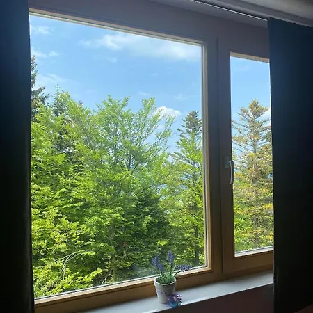 Apartamento Apartma Pohorje Hočko Pohorje
